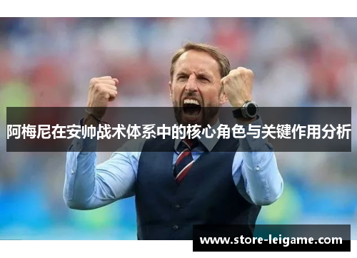 阿梅尼在安帅战术体系中的核心角色与关键作用分析